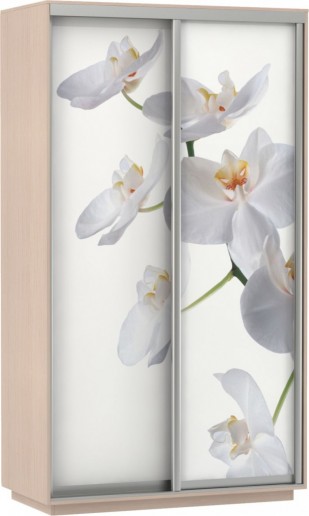 Шкаф-купе Дуо Фото Орхидея 